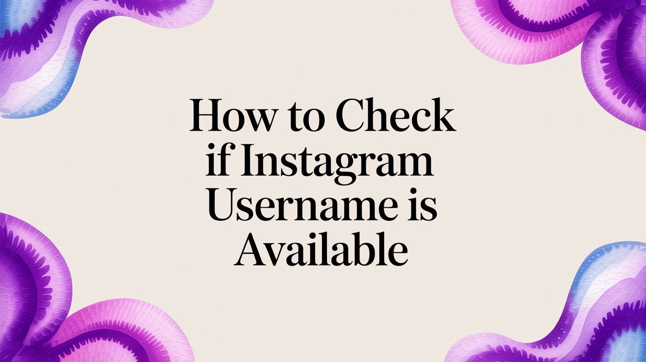 How To Check If Instagram Username Is Available How To Check If Instagram Username Is Available