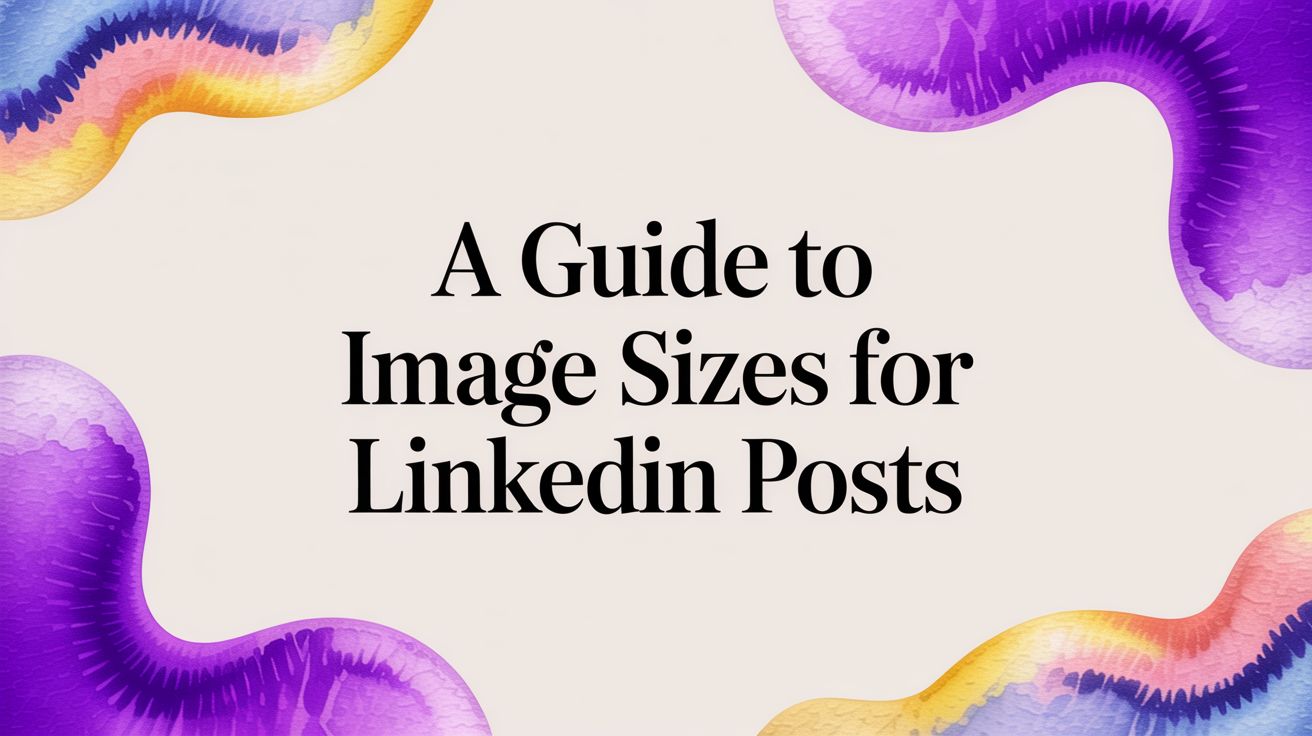 A Guide to Image Sizes for LinkedIn Posts