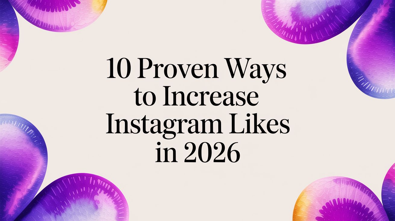 10 Proven Ways to Increase Instagram Likes in 2026 10 Proven Ways to Increase Instagram Likes in 2026