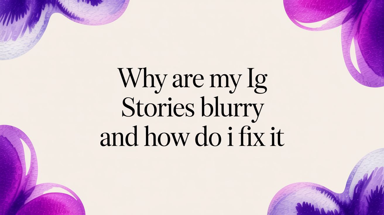 Why Are My IG Stories Blurry And How Do I Fix It Why Are My IG Stories Blurry And How Do I Fix It